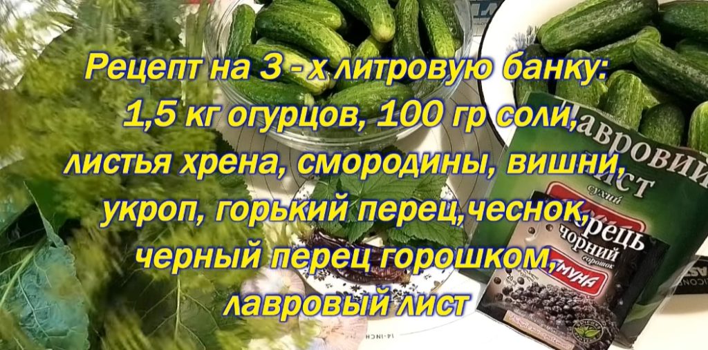 Рецепт засолки огурцов